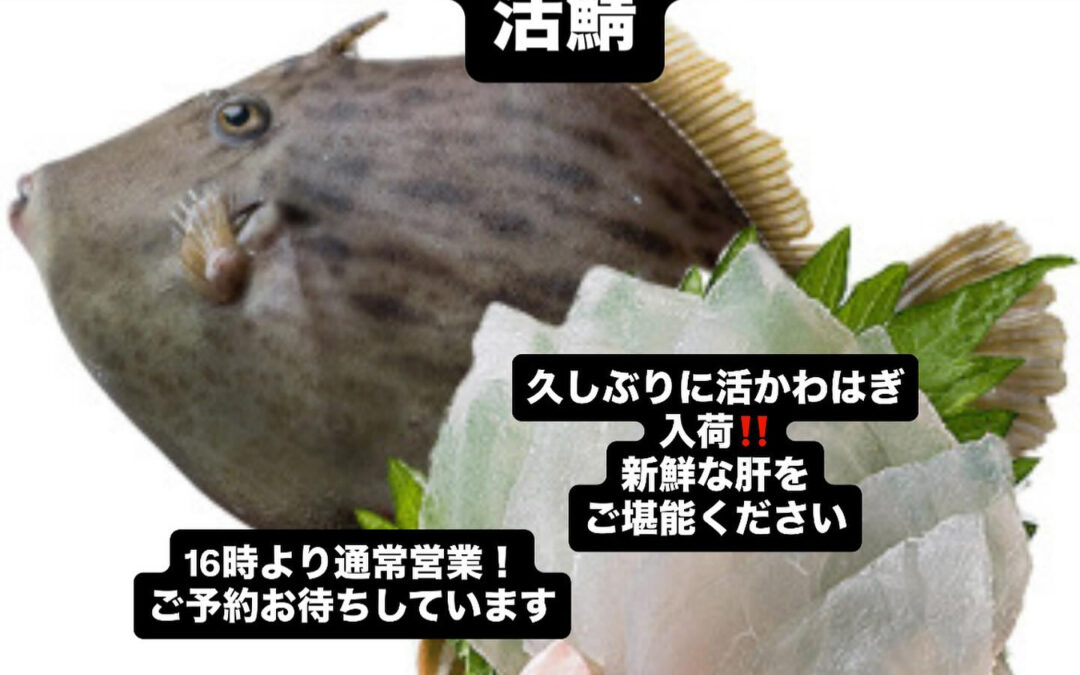 – [x] #清瀬#MAGURO#西武池袋線#活いか#活魚#