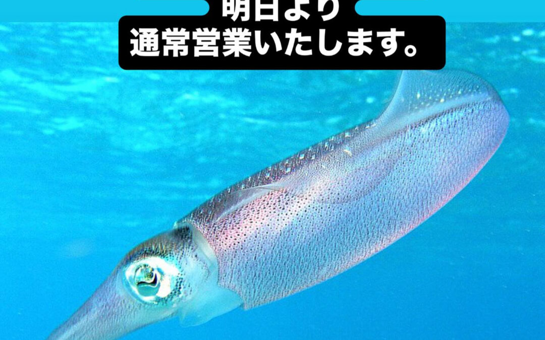 東京都清瀬市の清瀬駅から徒歩5分でお越し頂ける旬菜魚 hir