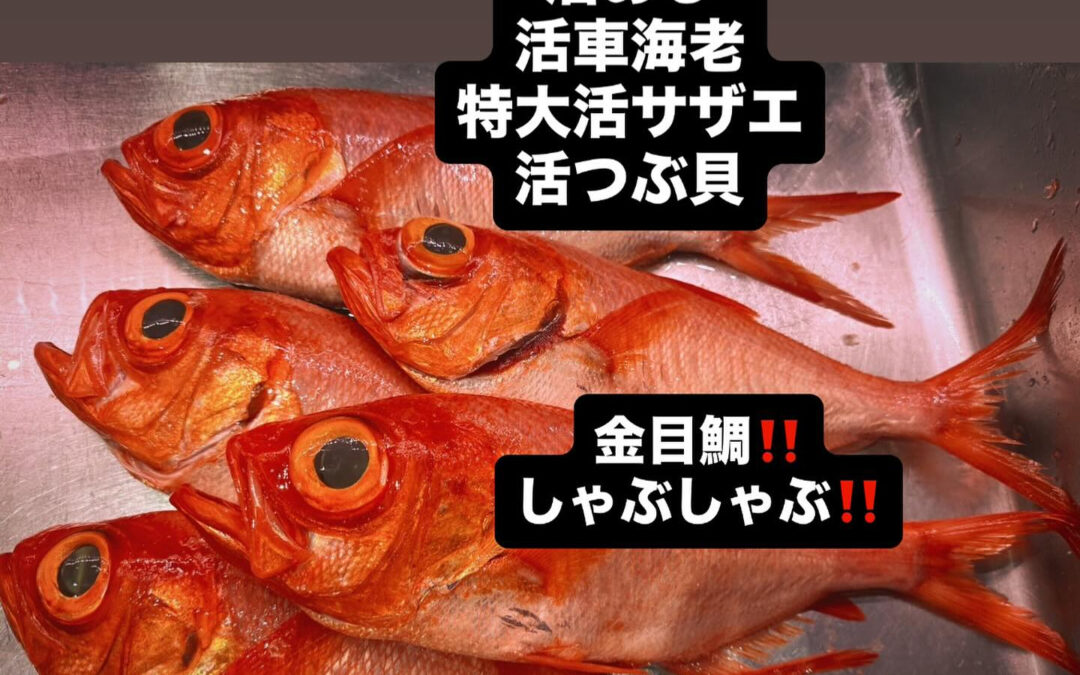 – [x] #清瀬#MAGURO#西武池袋線#活いか#活魚#