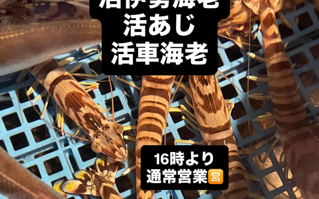 – [x] #清瀬#MAGURO#西武池袋線#活いか#活魚#