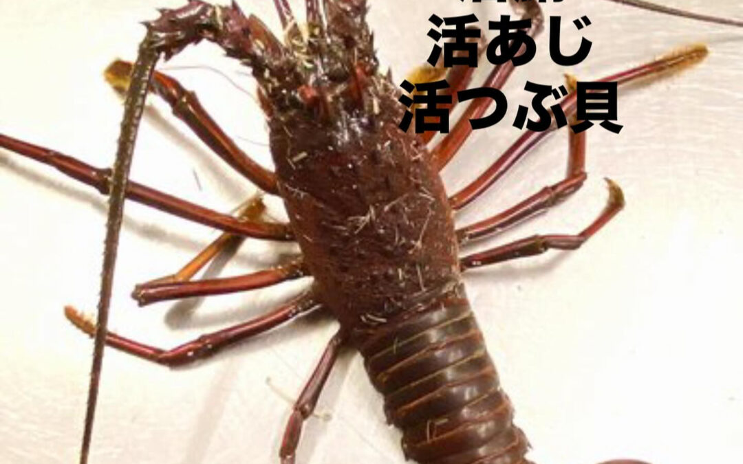 – [x] #清瀬#MAGURO#西武池袋線#活いか#活魚#