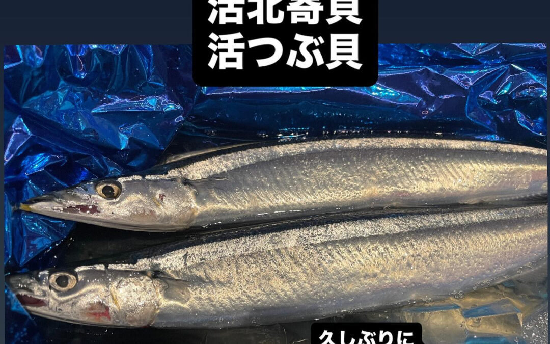 – [x] #清瀬#MAGURO#西武池袋線#活いか#活魚#