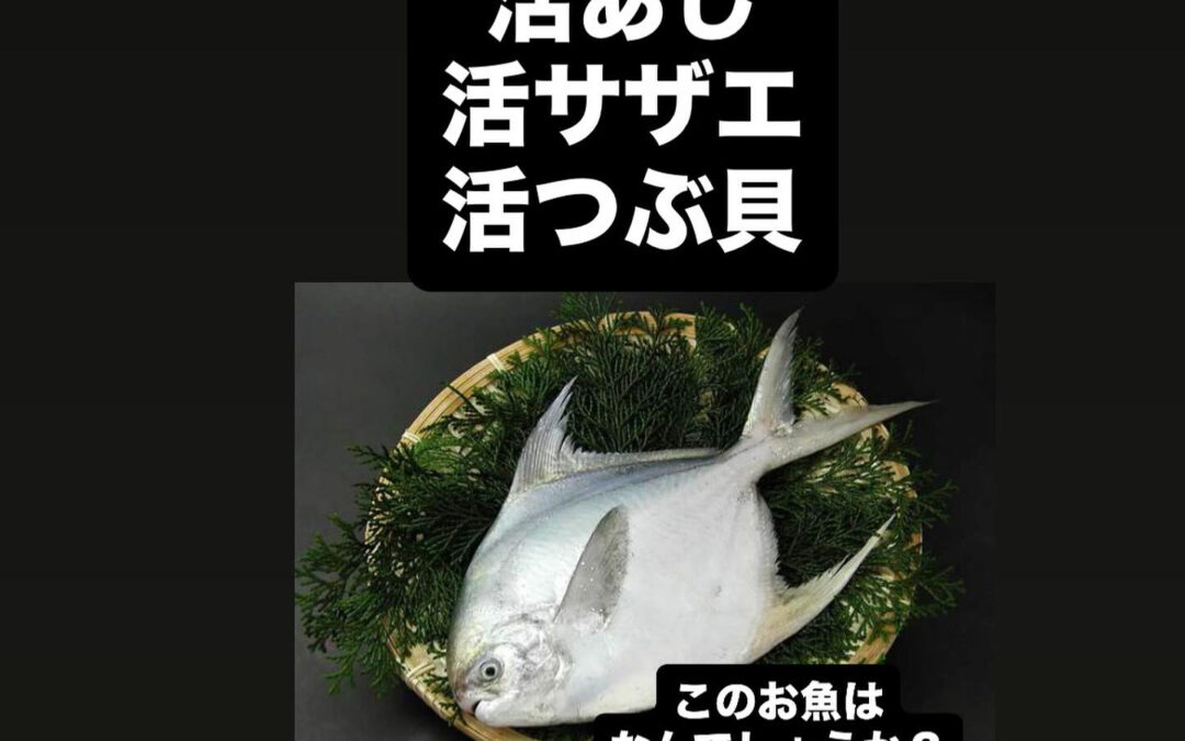 – [x] #清瀬#MAGURO#西武池袋線#活いか#活魚#