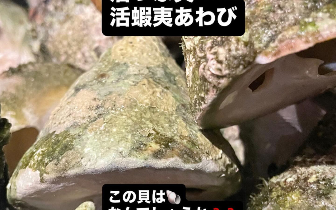 – [x] #清瀬#MAGURO#西武池袋線#活いか#活魚#