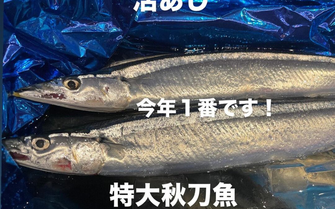 – [x] #清瀬#MAGURO#西武池袋線#活いか#活魚#