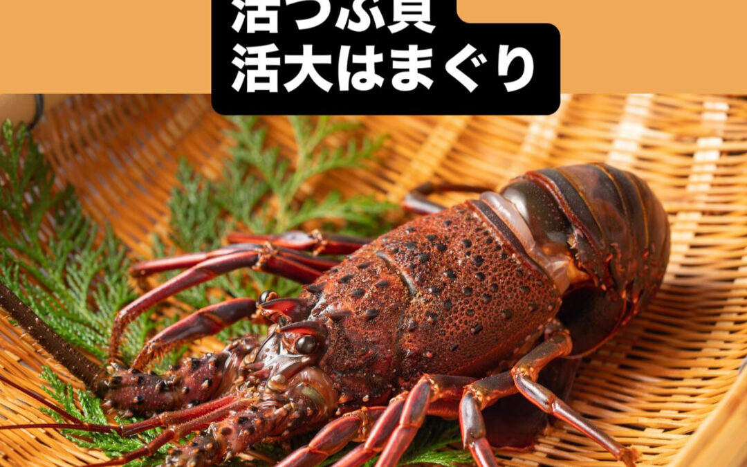 – [x] #清瀬#MAGURO#西武池袋線#活いか#活魚#