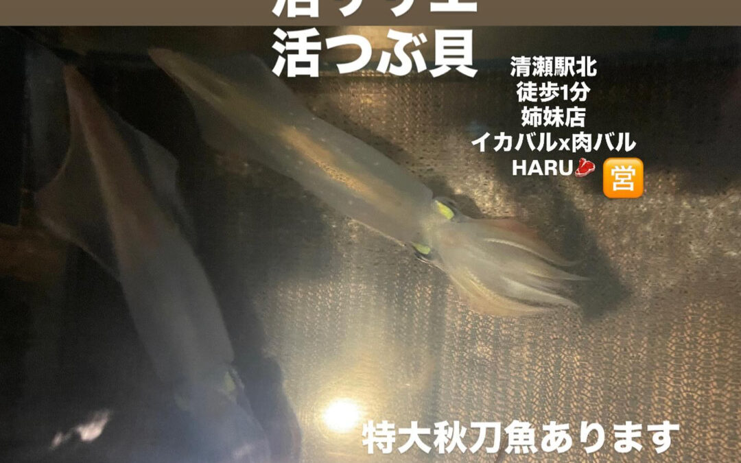 – [x] #清瀬#MAGURO#西武池袋線#活いか#活魚#