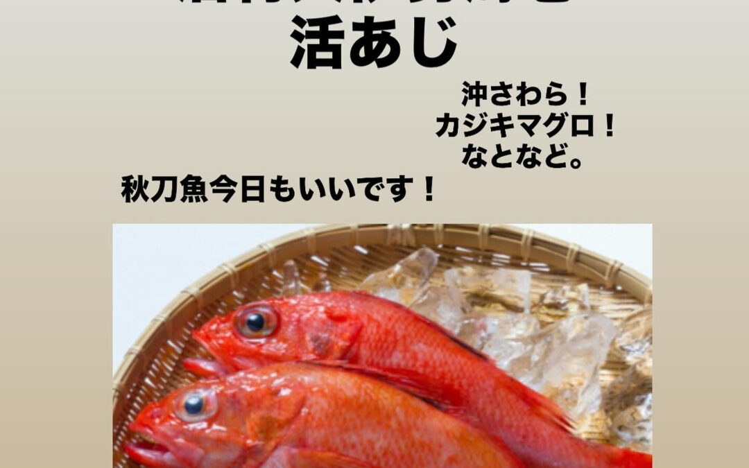 – [x] #清瀬#MAGURO#西武池袋線#活いか#活魚#