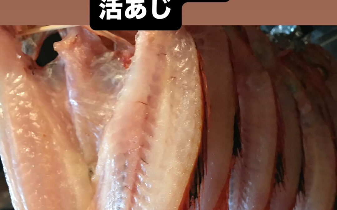 – [x] #清瀬#MAGURO#西武池袋線#活いか#活魚#