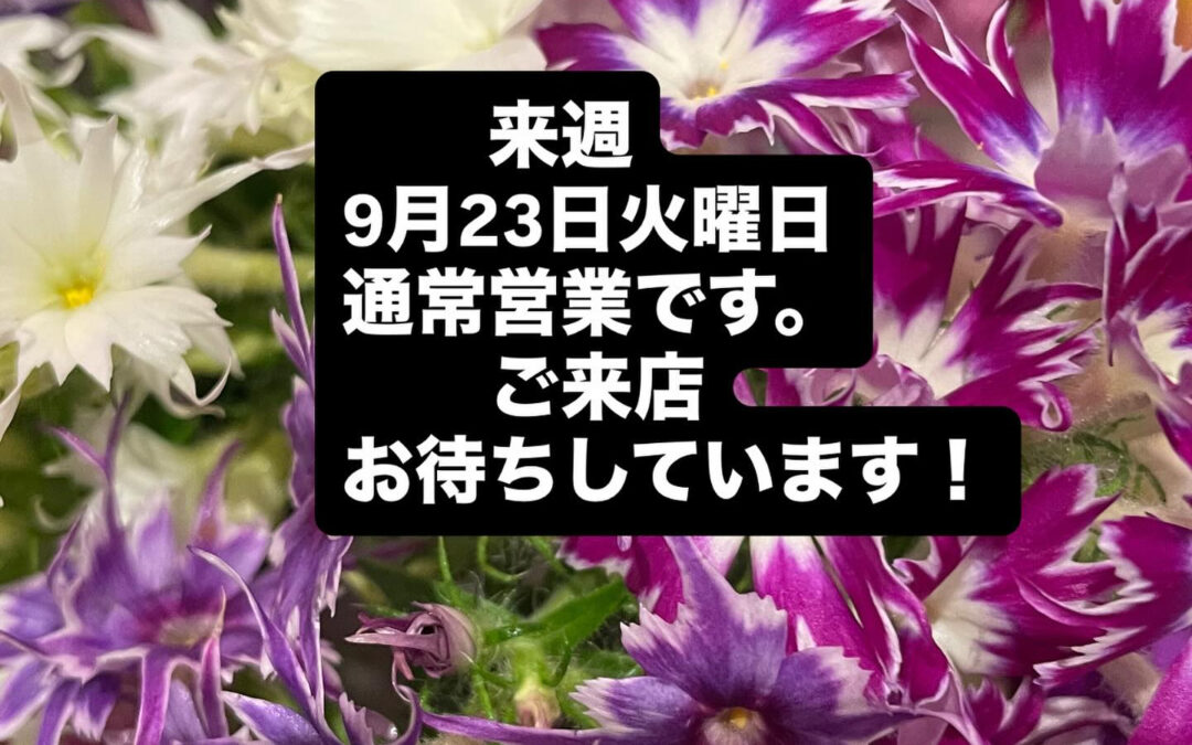 東京都清瀬市の清瀬駅から徒歩5分でお越し頂ける旬菜魚 hir