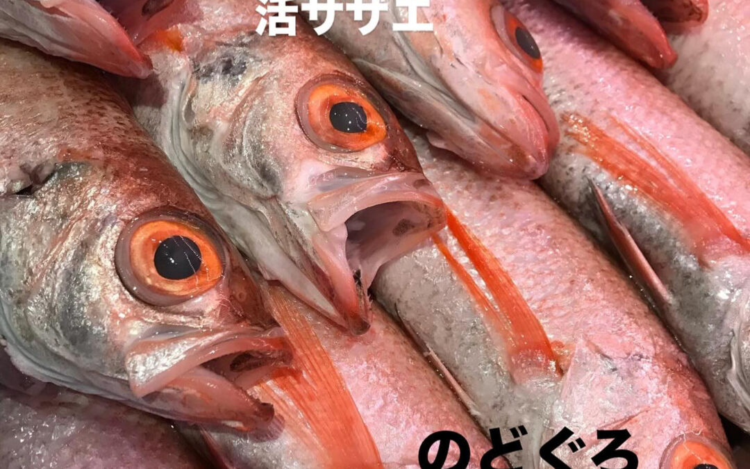 – [x] #清瀬#MAGURO#西武池袋線#活いか#活魚#