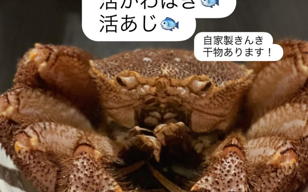 – [x] #清瀬#MAGURO#西武池袋線#活いか#活魚#