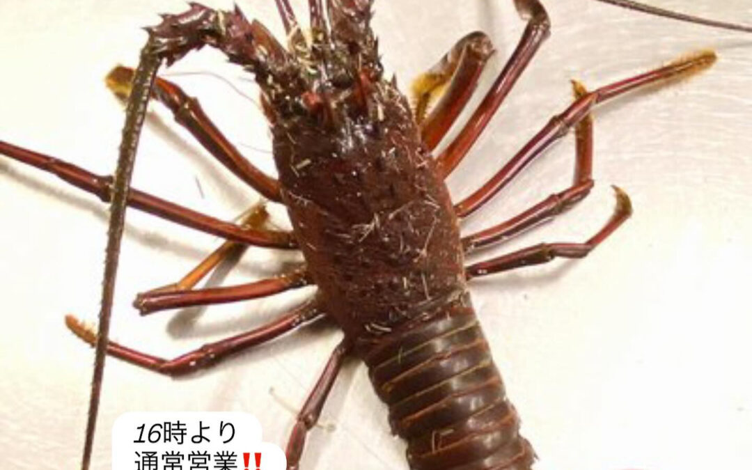 – [x] #清瀬#MAGURO#西武池袋線#活いか#活魚#