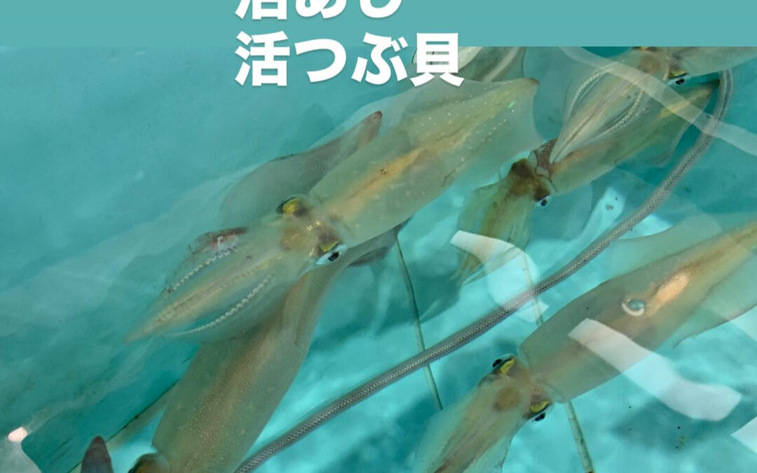 東京都清瀬市の清瀬駅から徒歩5分でお越し頂ける旬菜魚 hir