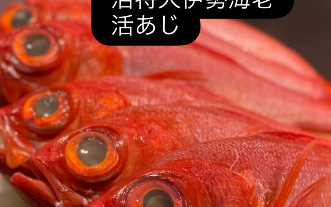 – [x] #清瀬#MAGURO#西武池袋線#活いか#活魚#