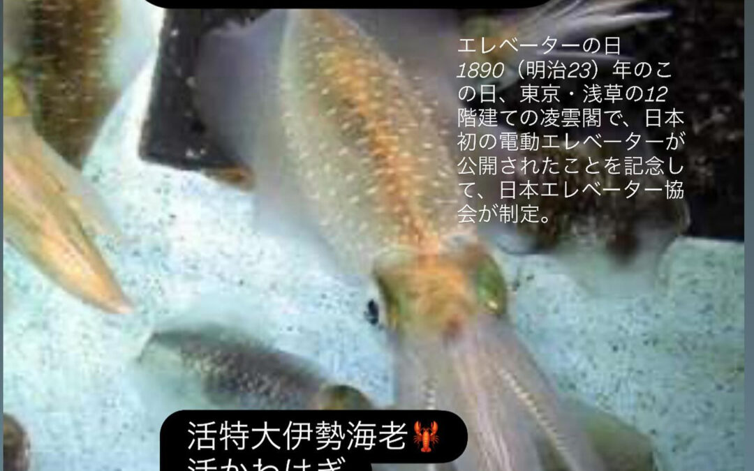 – [x] #清瀬#MAGURO#西武池袋線#活いか#活魚#