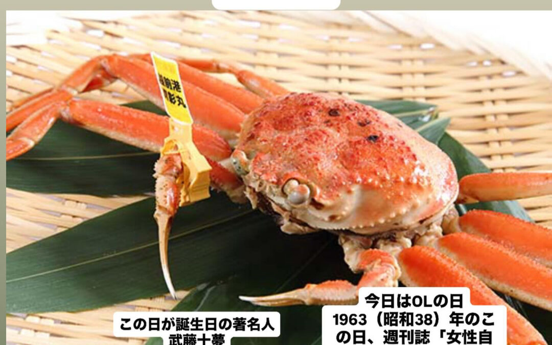 – [x] #清瀬#MAGURO#西武池袋線#活いか#活魚#