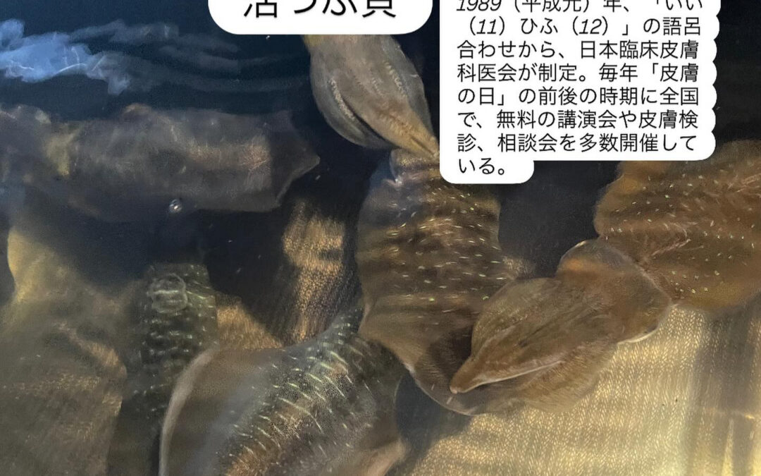 – [x] #清瀬#MAGURO#西武池袋線#活いか#活魚#