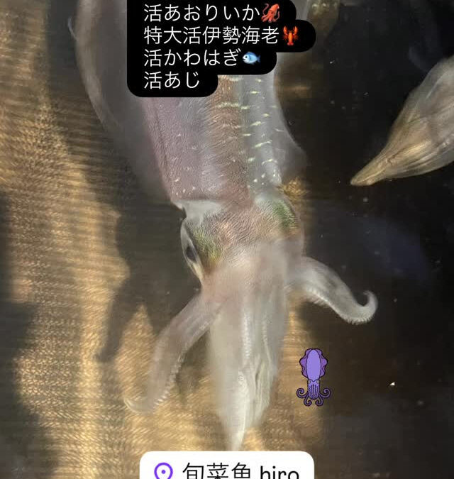 – [x] #清瀬#MAGURO#西武池袋線#活いか#活魚#