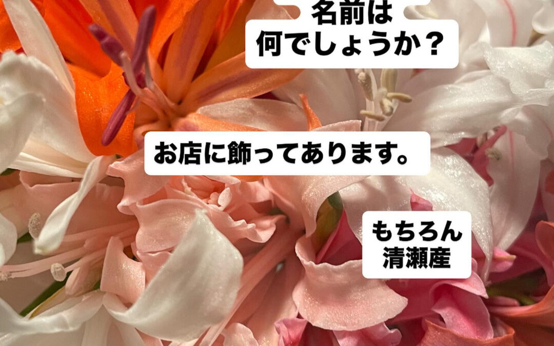 東京都清瀬市の清瀬駅から徒歩5分でお越し頂ける旬菜魚 hir