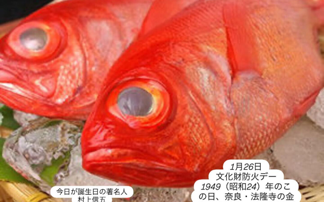 – [x] #山崎#清瀬#MAGURO旬菜魚1-13-7