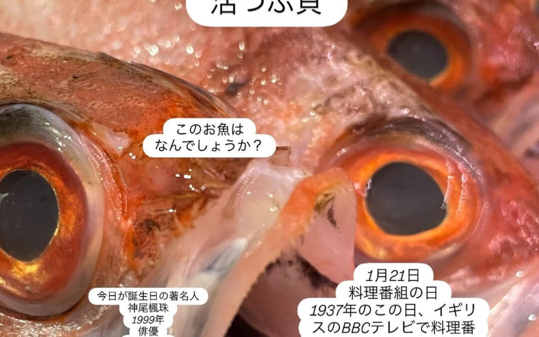 – [x] #山崎#清瀬#MAGURO旬菜魚1-13-7