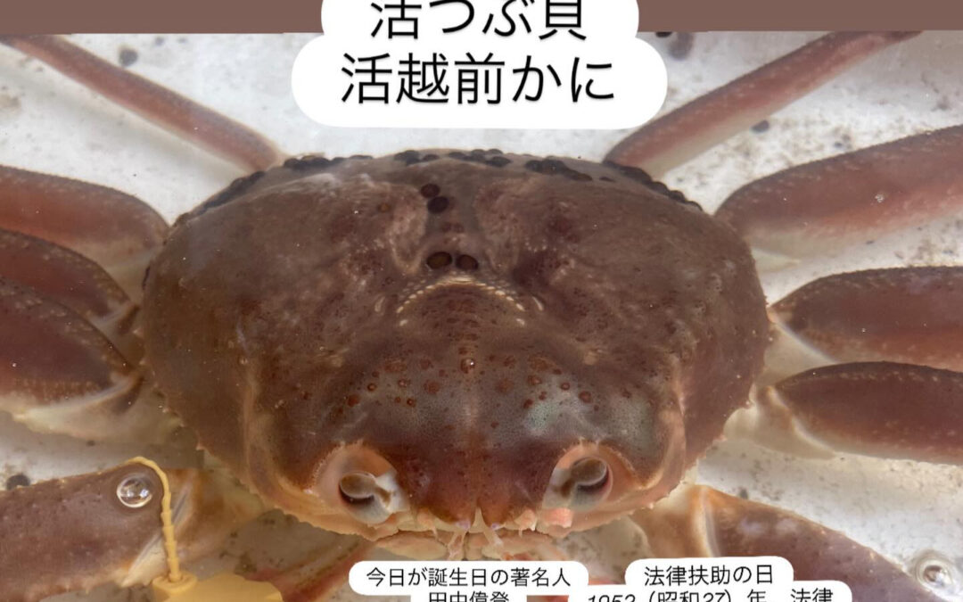 #山崎#清瀬#MAGURO旬菜魚1-13-7