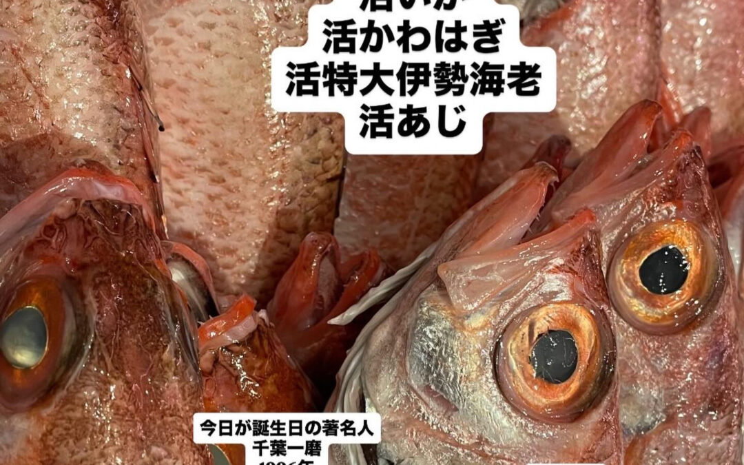 – [x] #山崎#清瀬#MAGURO旬菜魚1-13-7