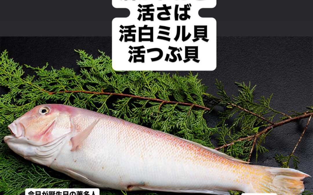 山崎#清瀬#MAGURO旬菜魚1-13-7