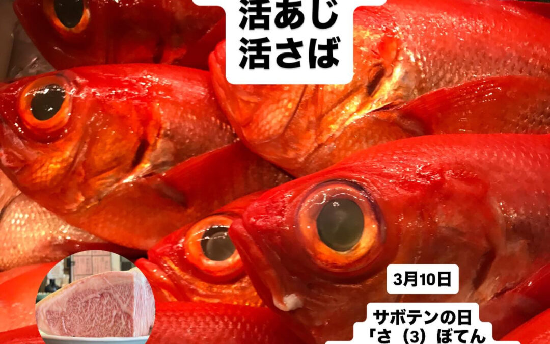 山崎#清瀬#MAGURO旬菜魚1-13-7