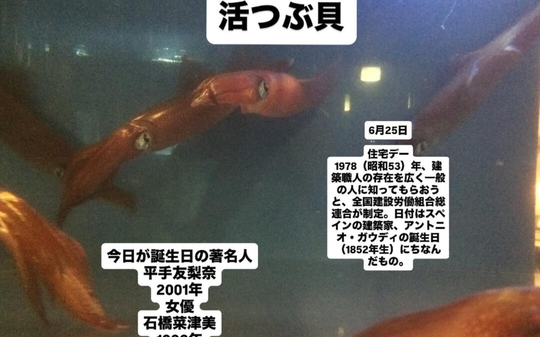 新鮮な活いかと魚　清瀬野菜が食べれるお店