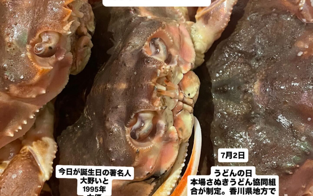 新鮮な活いかと魚　清瀬野菜が食べれるお店